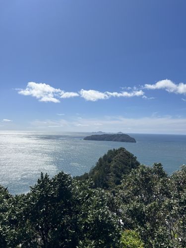 6星步道观景台：帕库山顶峰步道（Mt Paku Summit Walk）N404F-新西兰游记